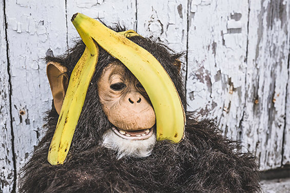 在线手机号接收